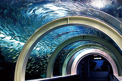 Asamushi Aquarium
